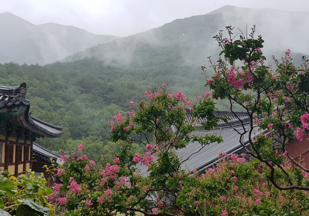 Pyochungsa Temple景点图片