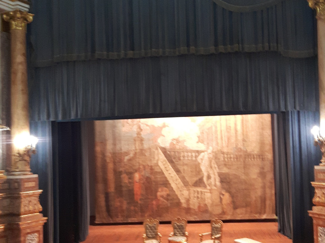 Teatro di Corte景点图片