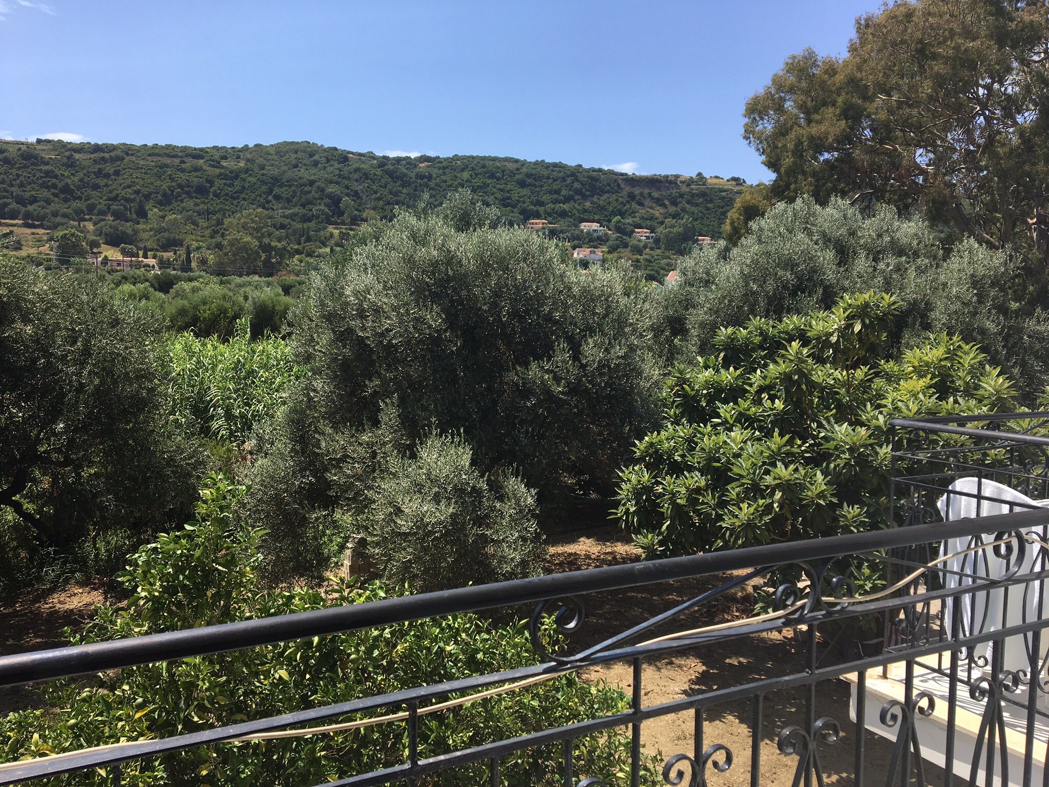 Irini Apartments-官方