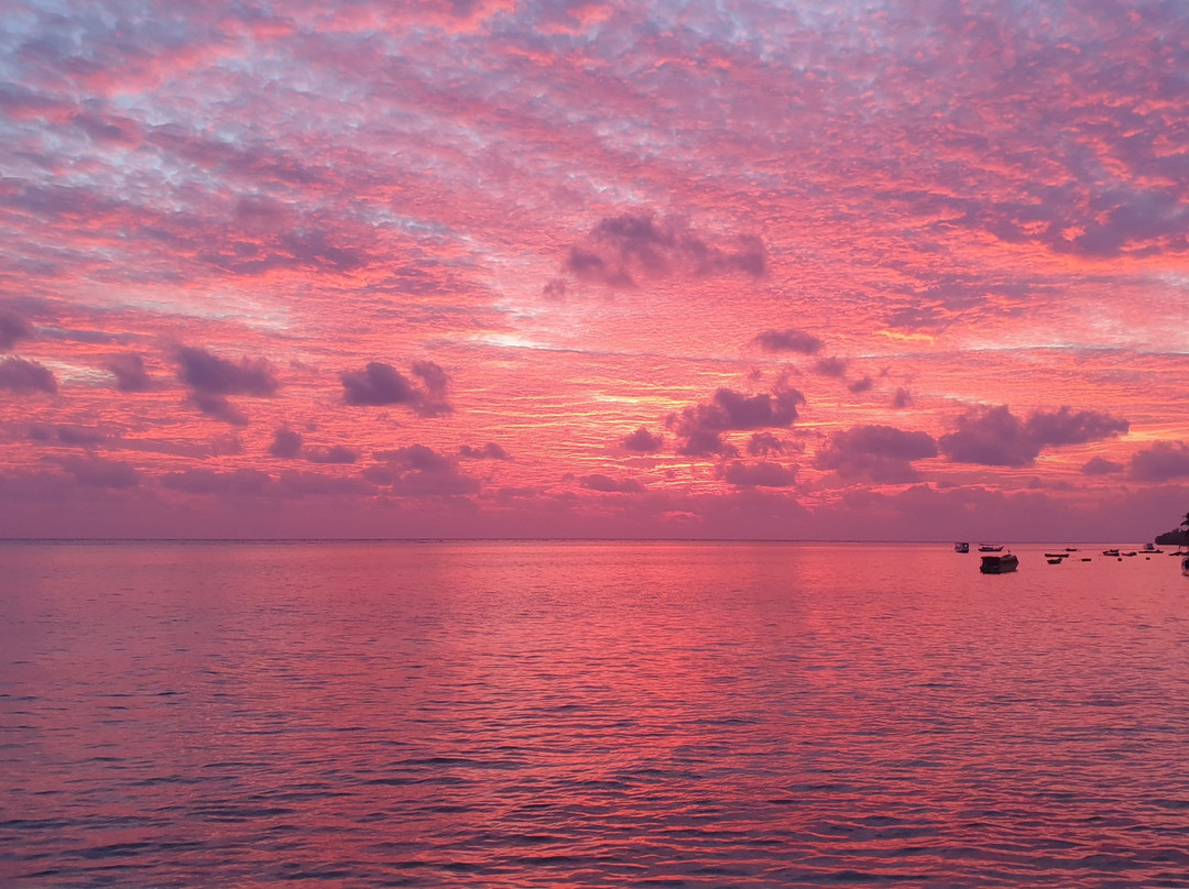 Hoga Island Dive Resort主图