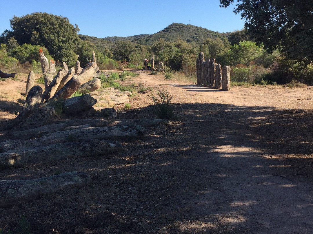 Menhirs Paddaghhu景点图片