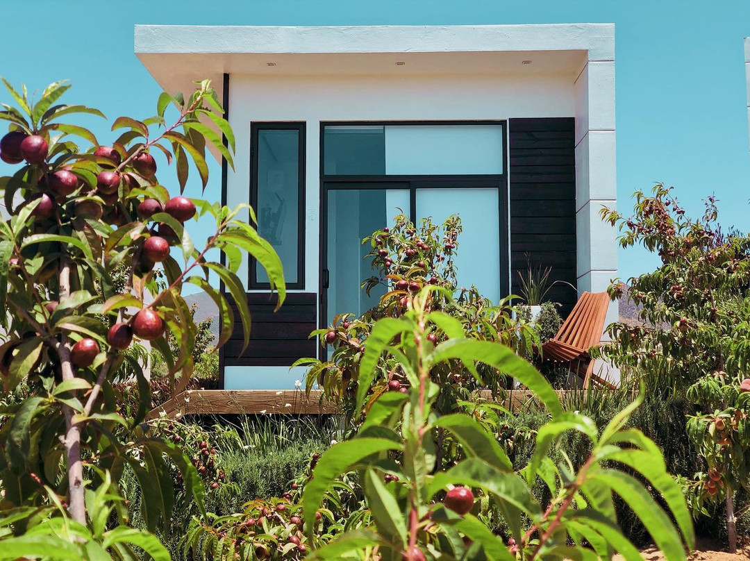 La Cima del Valle主图