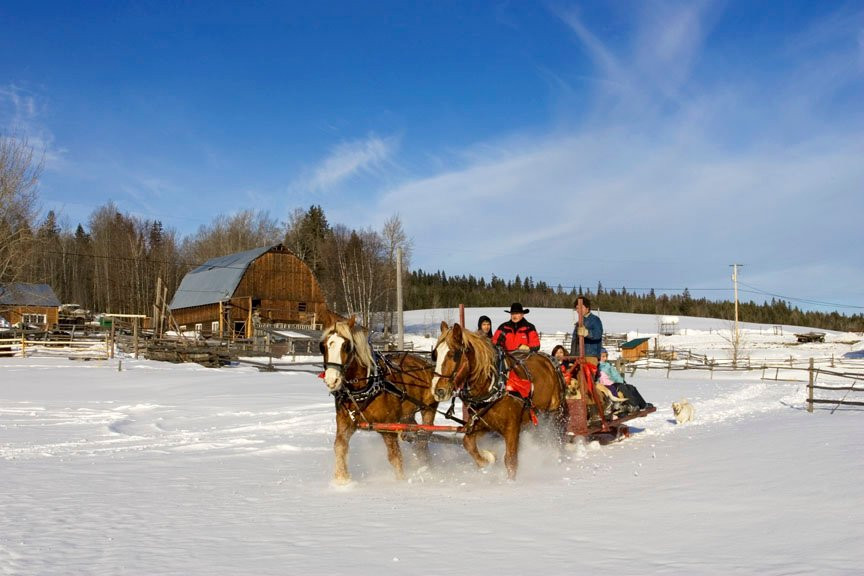South Cariboo Visitor Centre景点图片