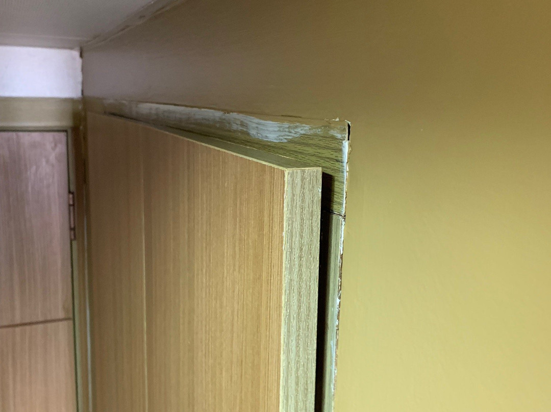 Hotel Krasnapolsky主图