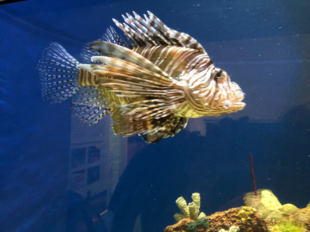 Museum of Coastal Carolina-Ocean Isle Beach必去景点