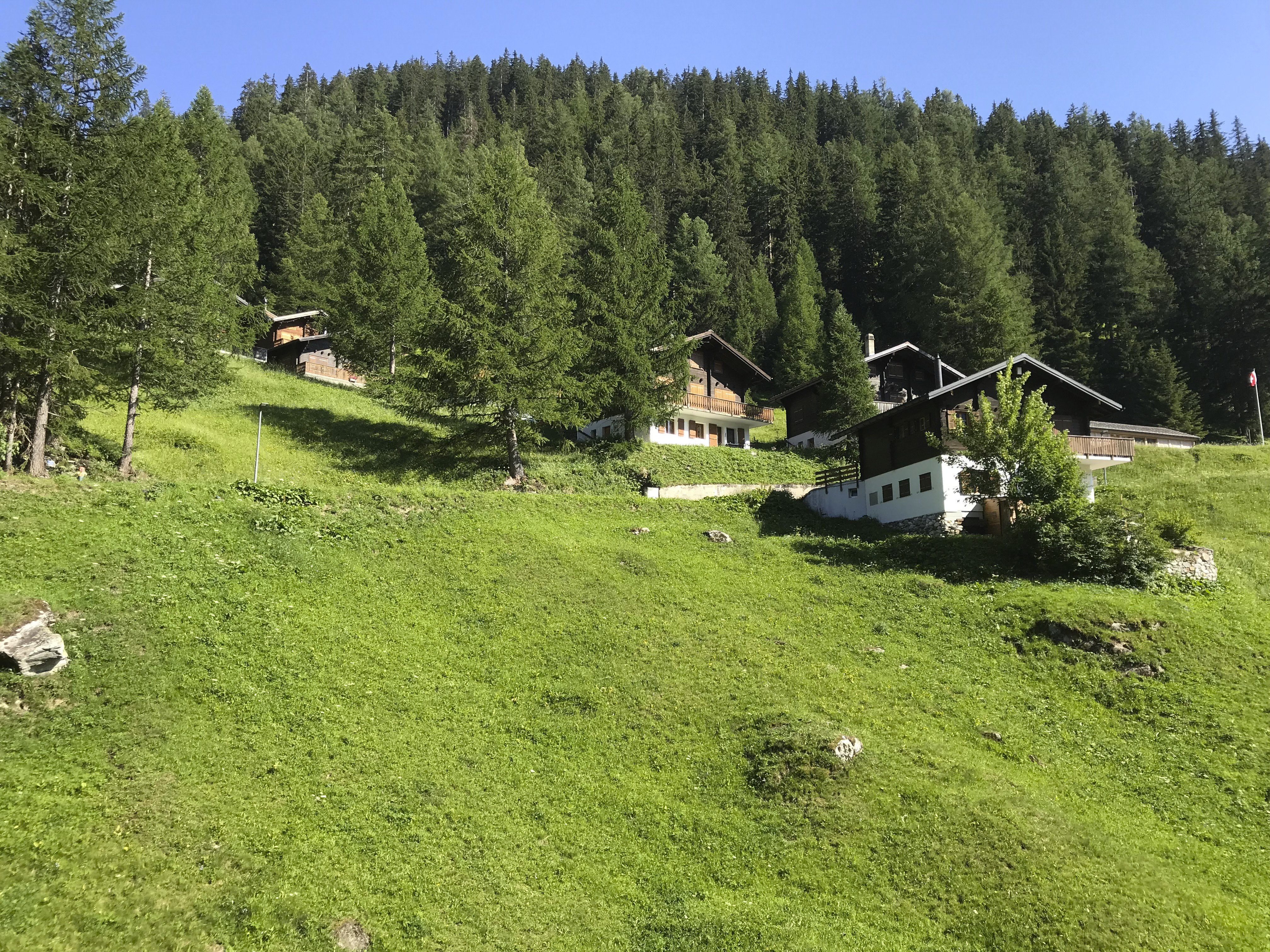 Hotel Alpenhof-酒店景观