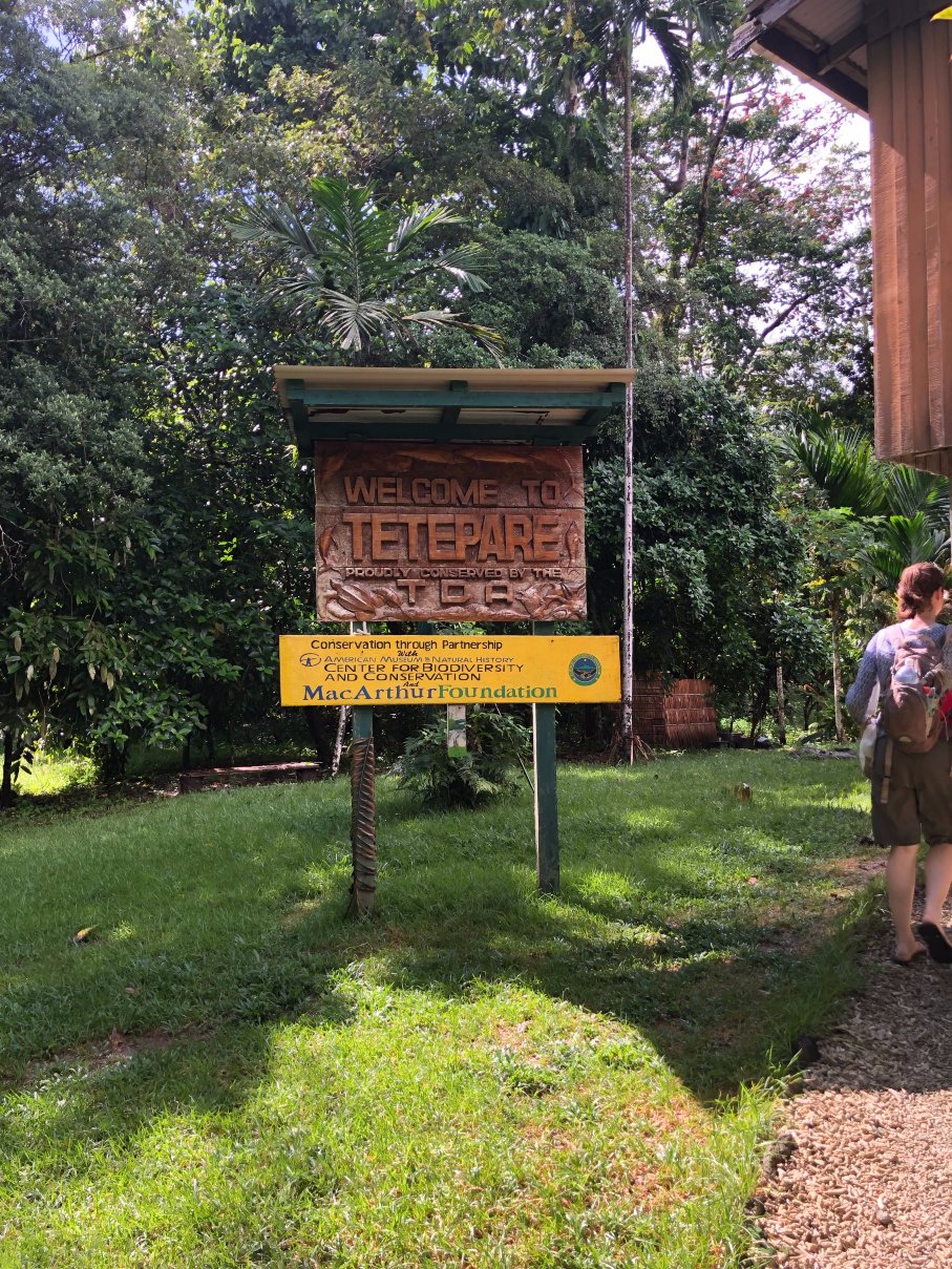 Tetepare Island Eco-lodge-浴室