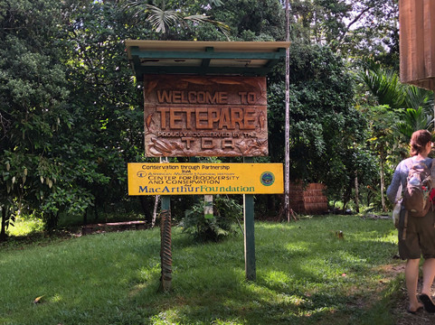 Tetepare Island Eco-lodge主图