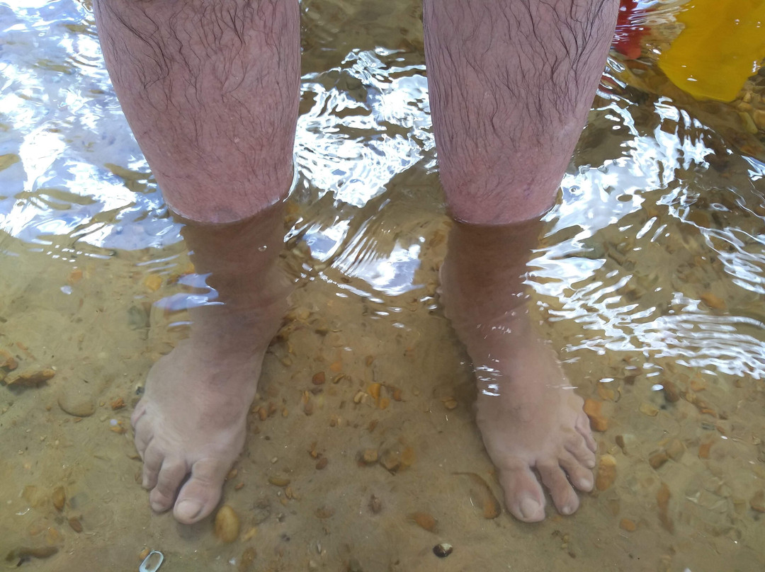 Praia da Tartaruga-Peixe必去景点