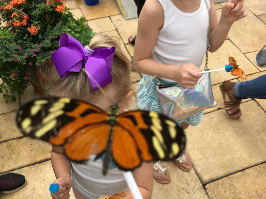 Nicholas Conservatory and Gardens-罗克福德必去景点