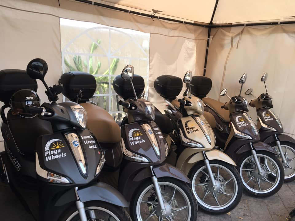 Playa Wheels景点图片