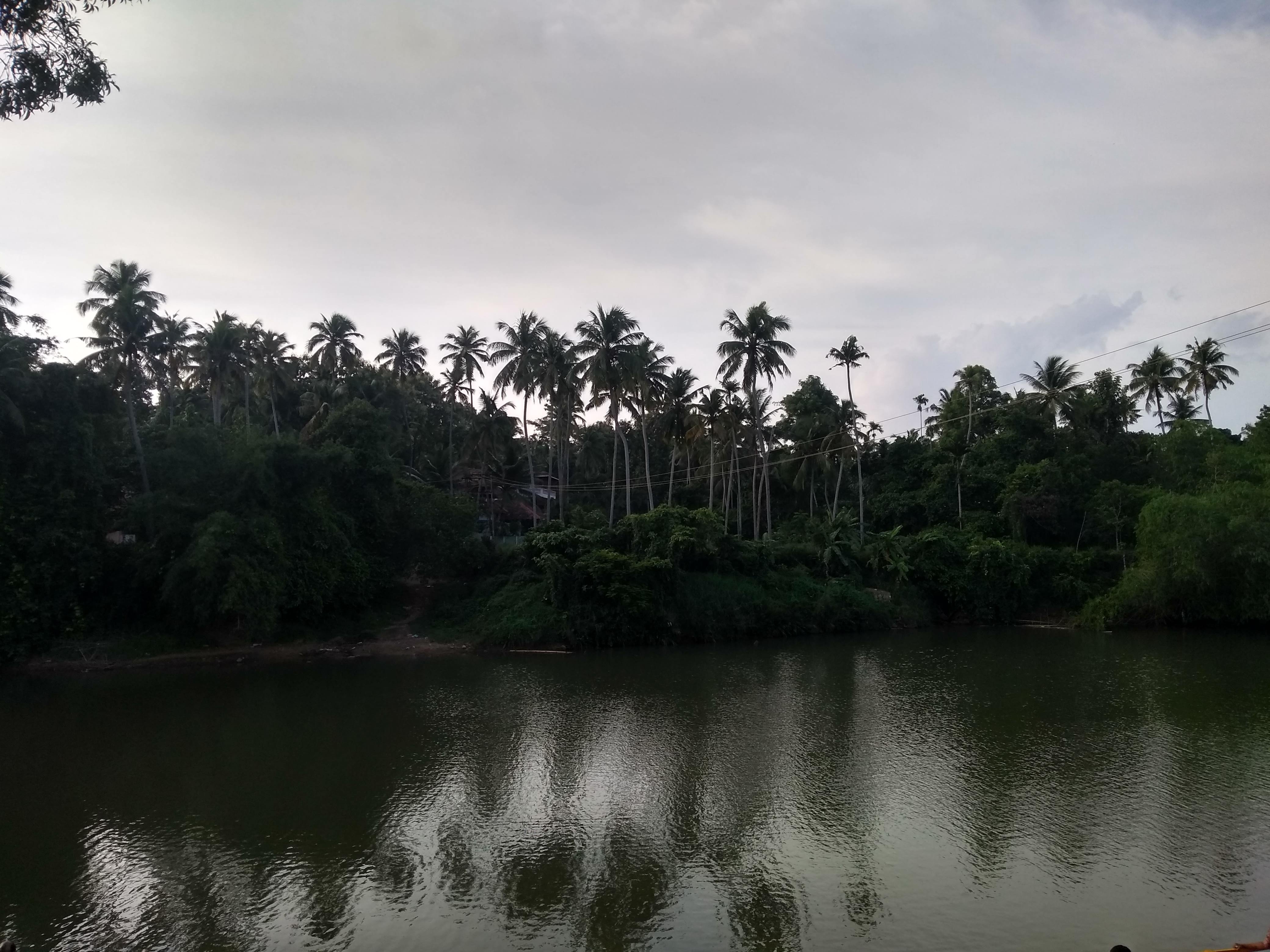 NSK Anamthara Resort Pvt Ltd-酒店景观