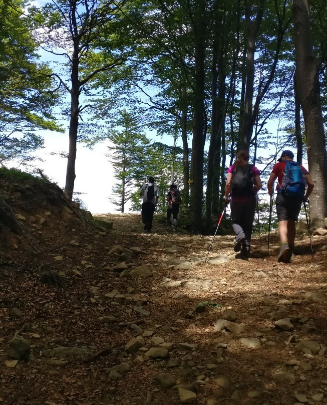Trekking Taro Ceno景点图片