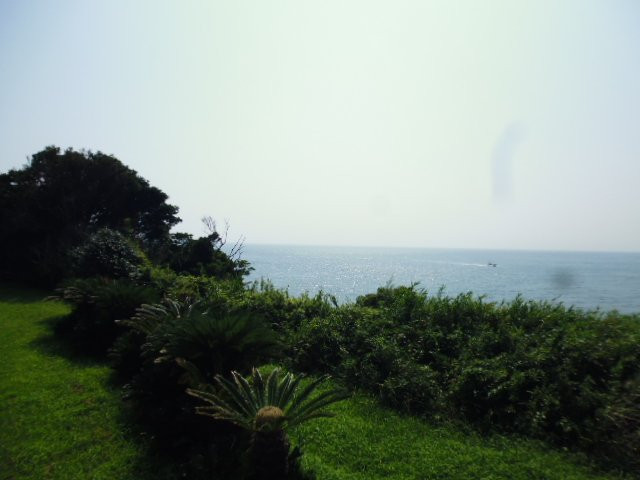 Arasaki Park景点图片