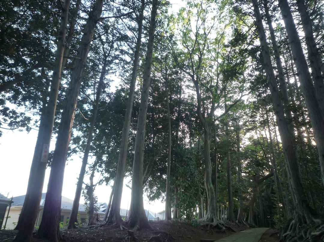 Omiya Shrine-流山市必去景点