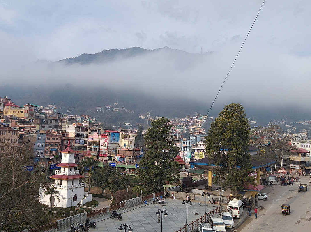 丽晶棕榈酒店主图