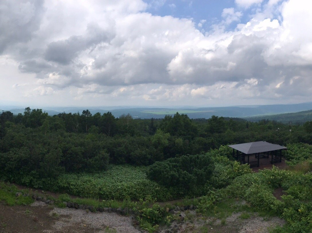 Tokachidake Bogakudai Observation Tower景点图片