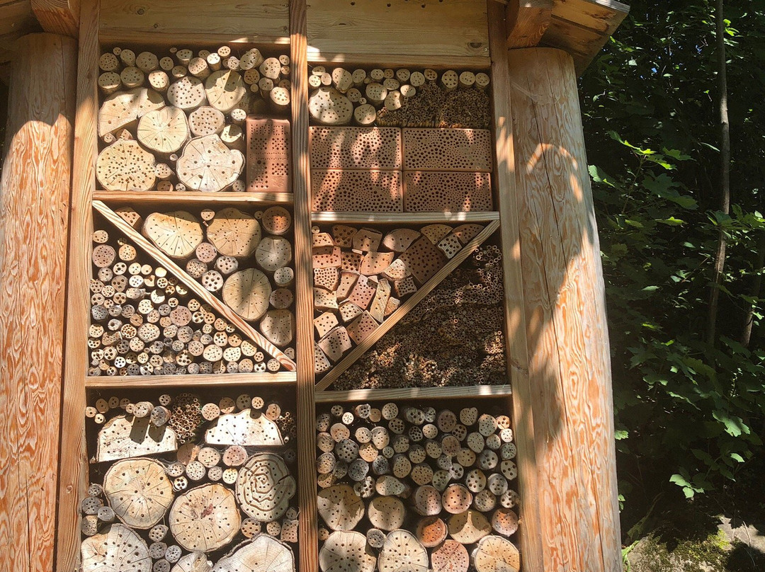 Alpbacher Heimatweg-高山溪必去景点