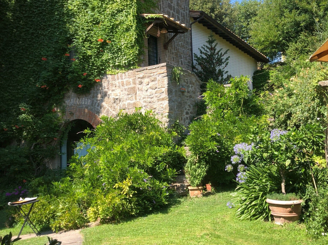 Il Gelso Bianco主图