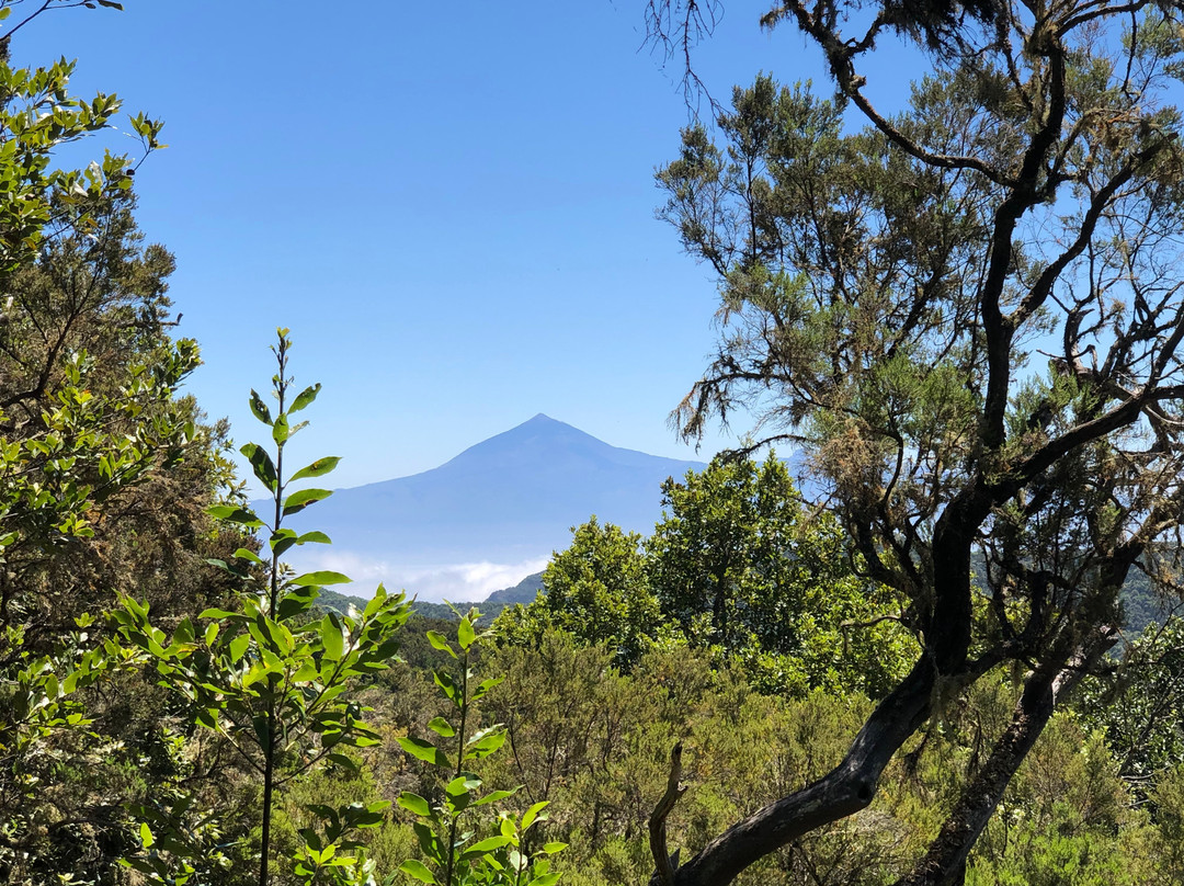 Gomera Walking景点图片