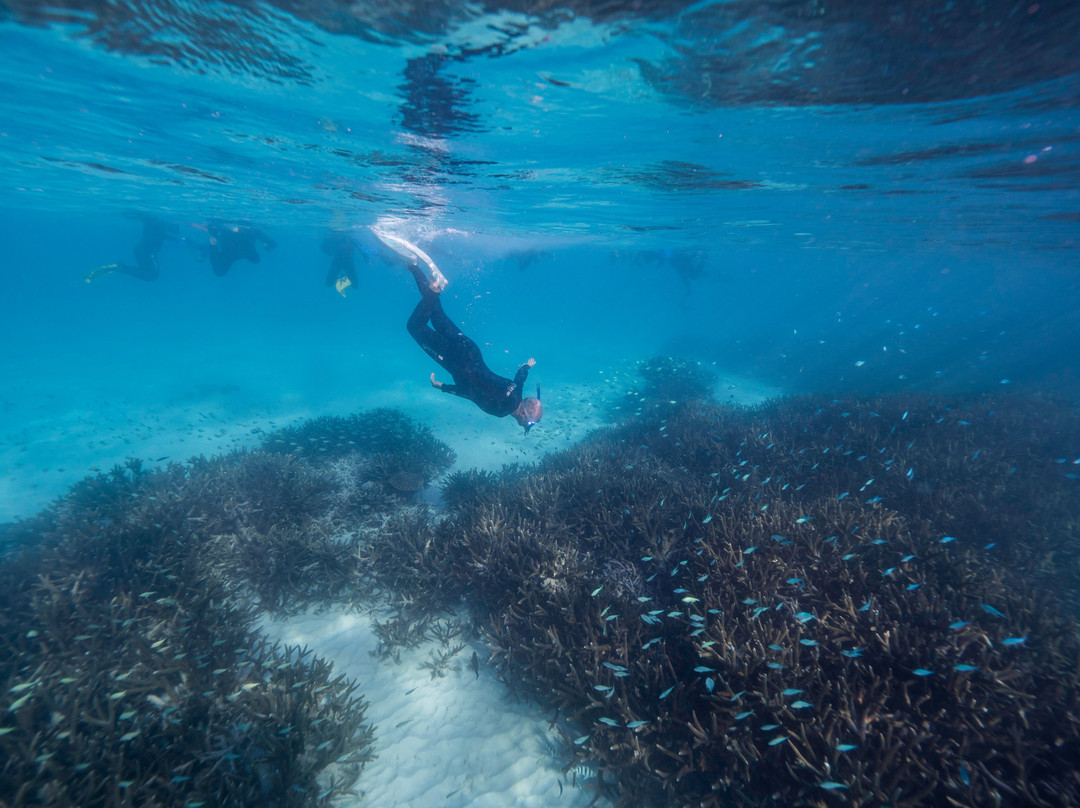 Ningaloo Reef景点图片