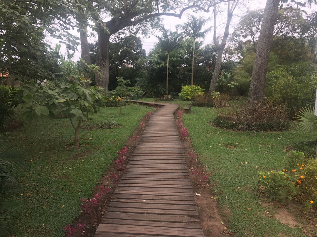 Jardin Botanico Santa Cruz景点图片