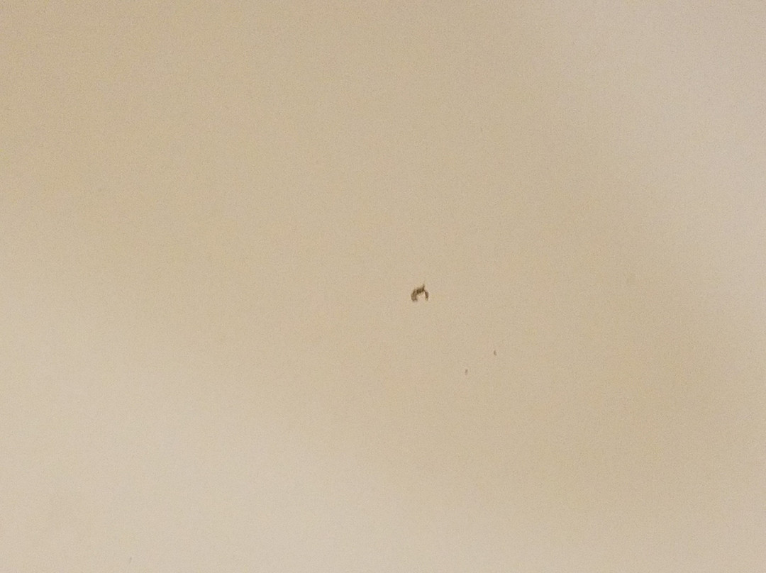 底特律沃伦原住客栈主图