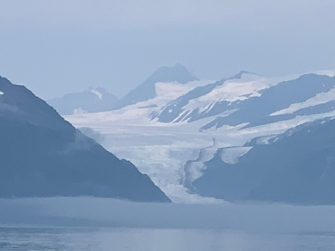 Kenai Fjords Tours景点图片