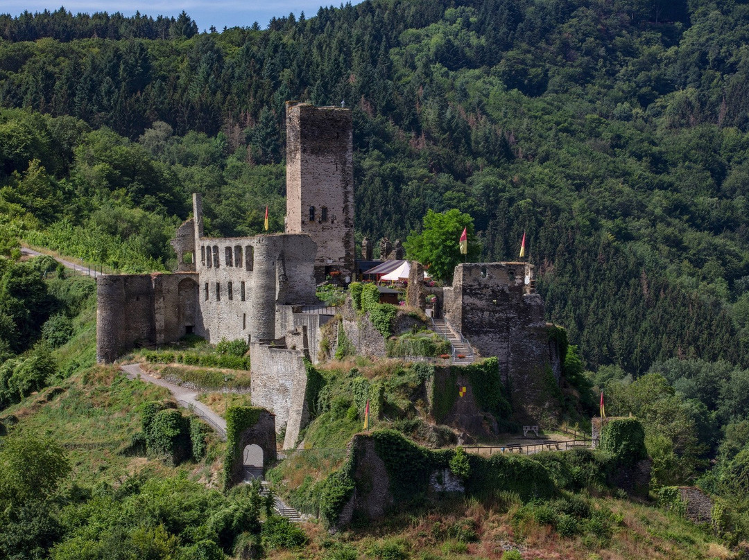Metternich Castle景点图片