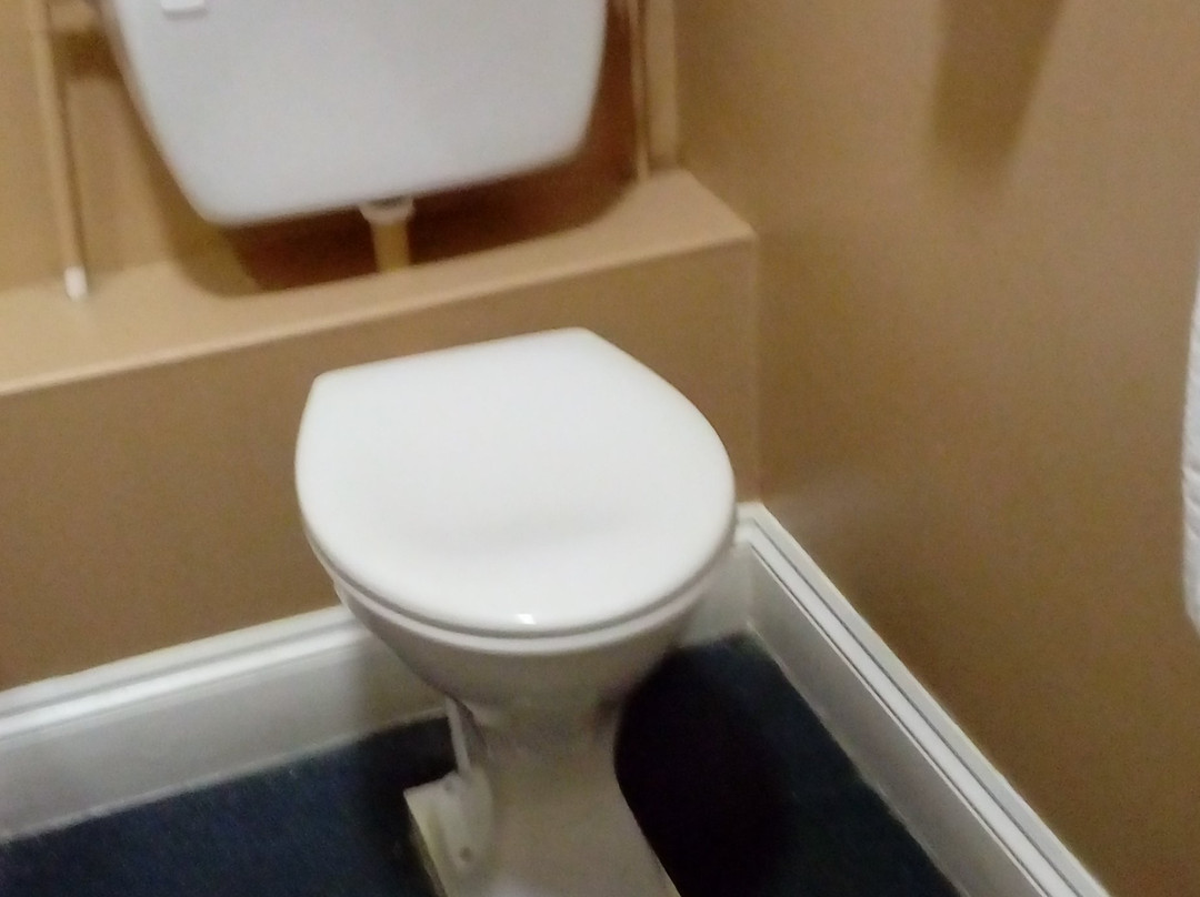 The Duke of Wellington主图