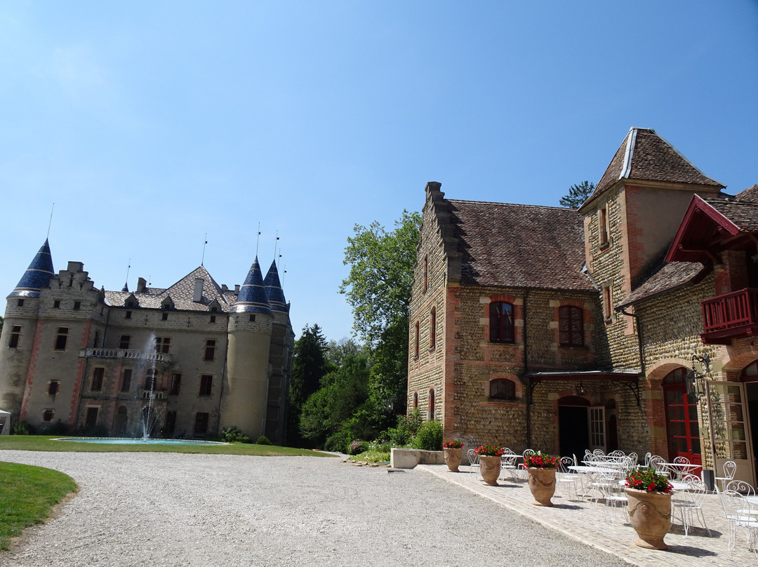 Château de Pupetières景点图片