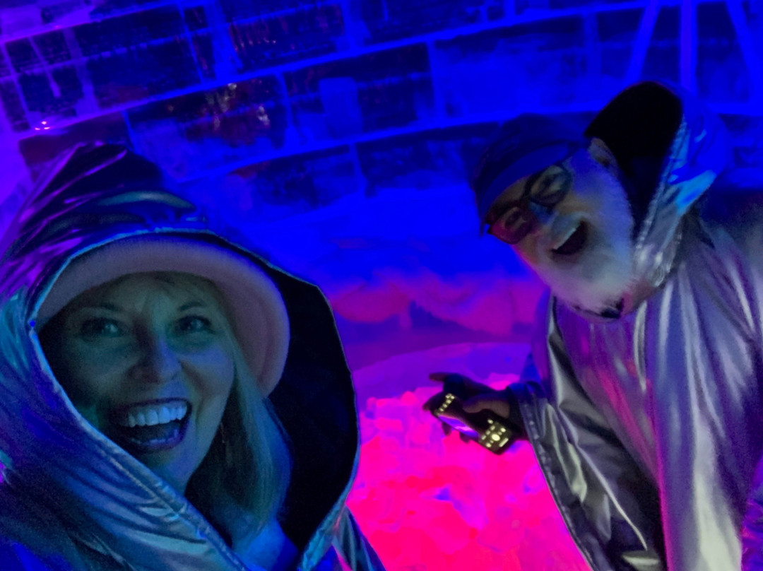 Artico Icebar-霍宁斯沃格必去景点