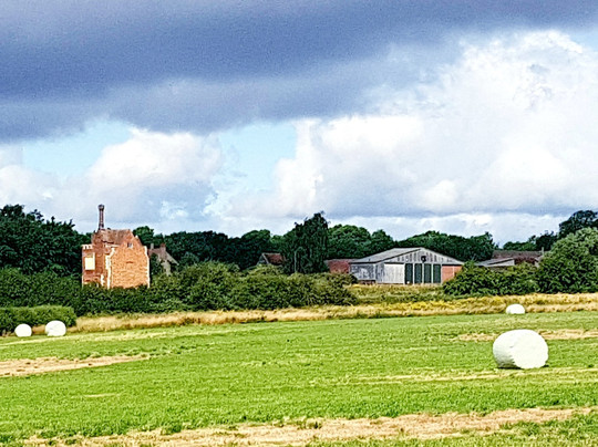 Warden Abbey Vineyard-Old Warden必去景点