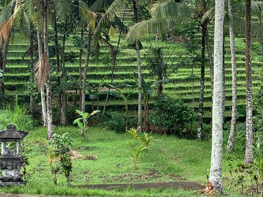 Bali Lost Adventure-达巴南必去景点
