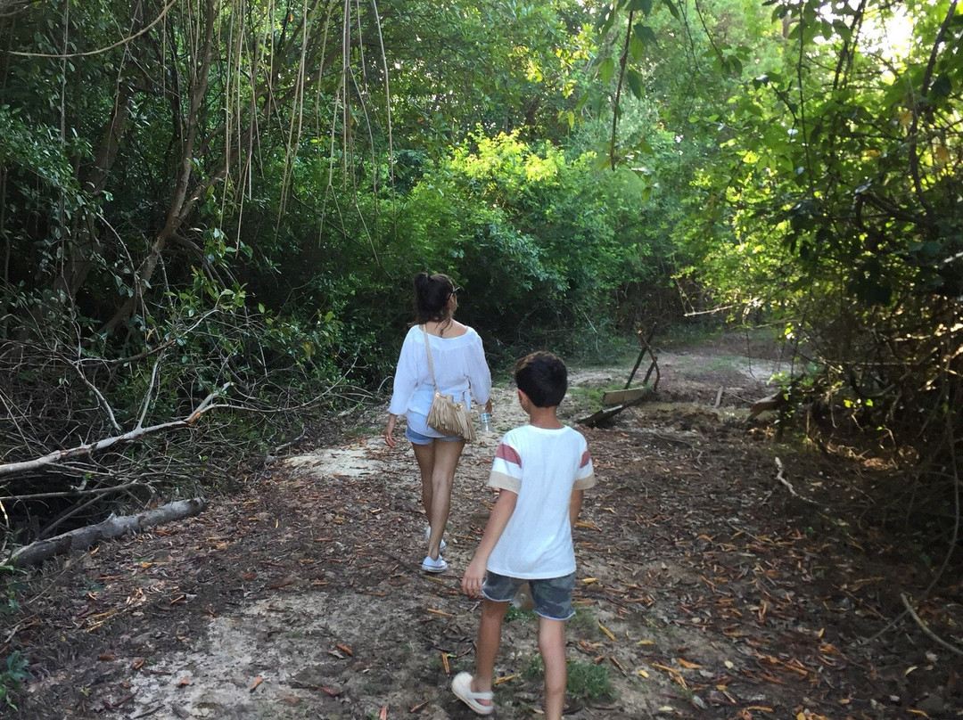 Bom Jesus Farm-Soure必去景点