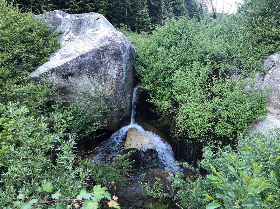 Mineral King Road-红杉&国王峡谷国家公园必去景点