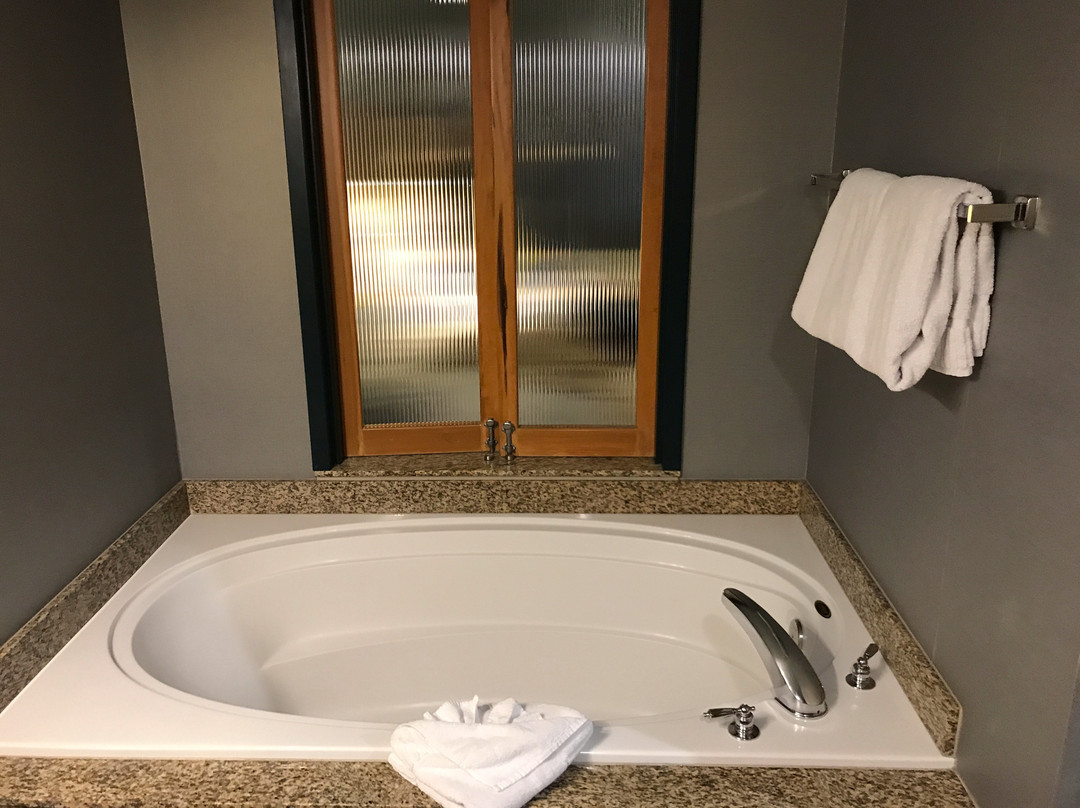 戴蒙德中心酒店主图