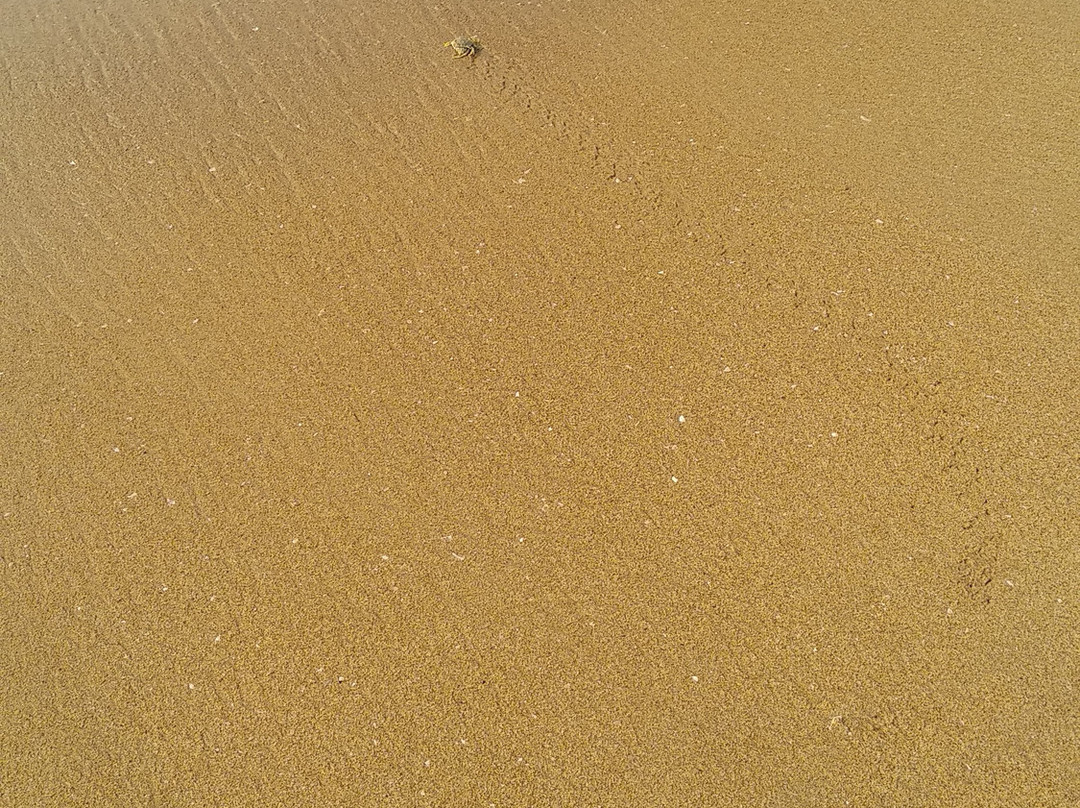 Meya Beach Walk Hotel主图