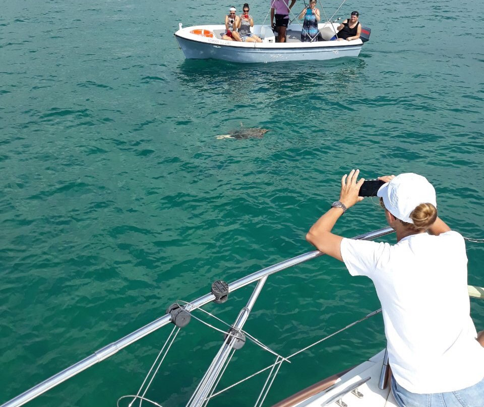 VIP Ionian-Katakolo必去景点