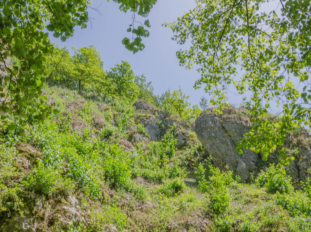 Dolina Sanki景点图片