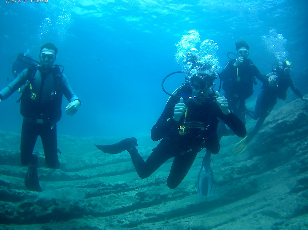 Abyss Dive Center-帕福斯必去景点