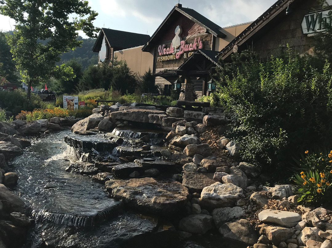 Uncle Buck's Fish Bowl and Grill-布里斯托尔必去景点