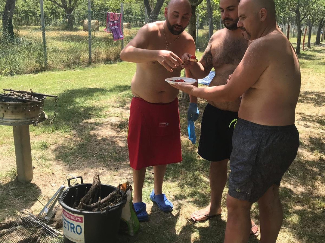 Pugliese Agricamping Pic Nic Area景点图片