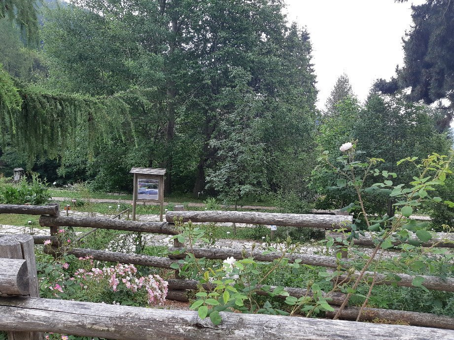 Orto Botanico di Novezzina景点图片