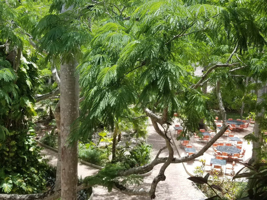 Mayaland Hotel & Bungalows主图