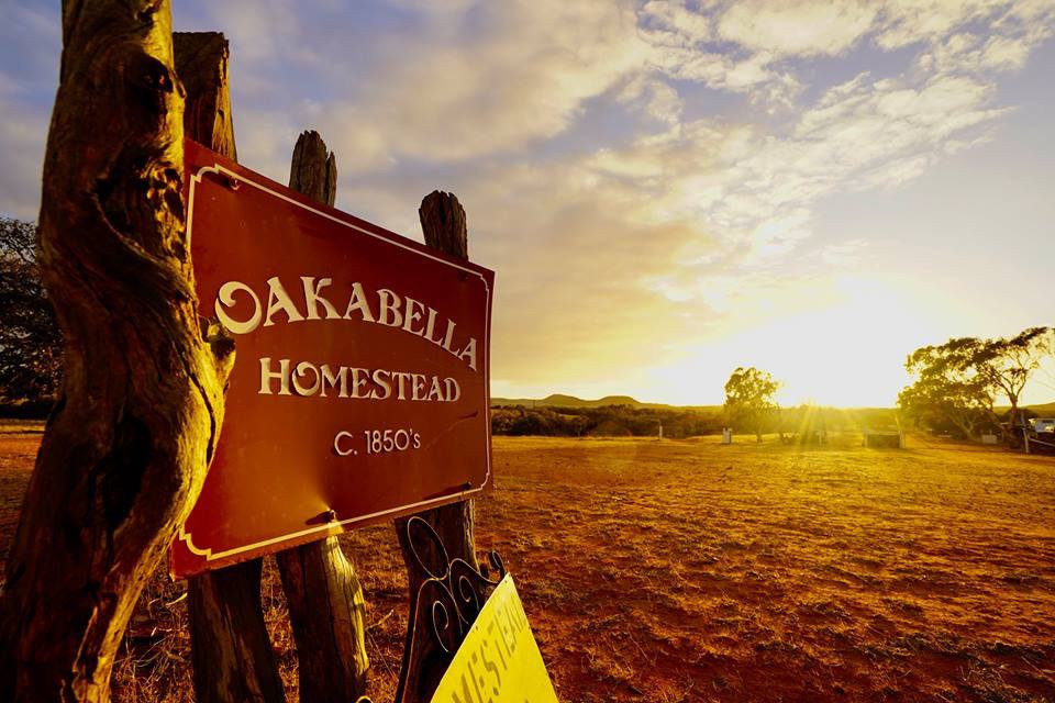 Oakabella Homestead, Tea Rooms and Campground景点图片