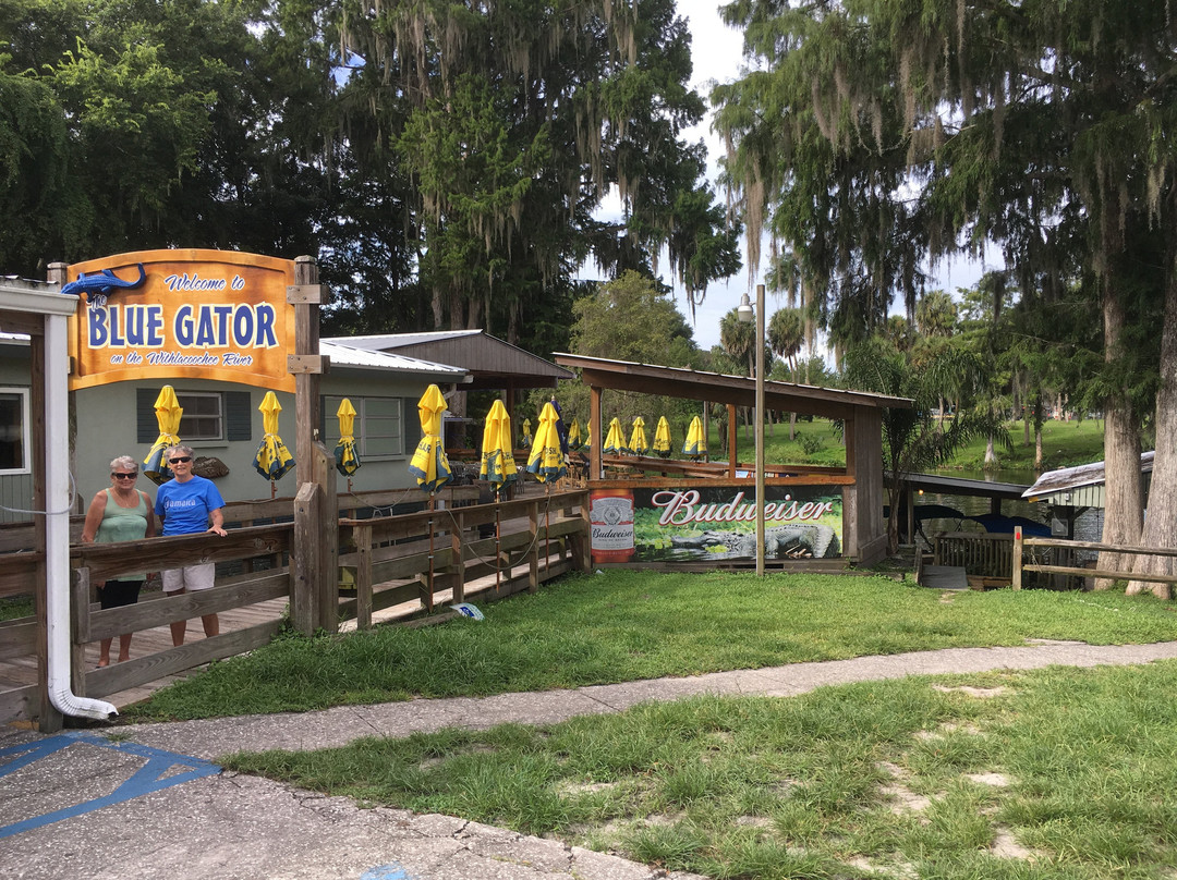 The Gator Den Motel主图