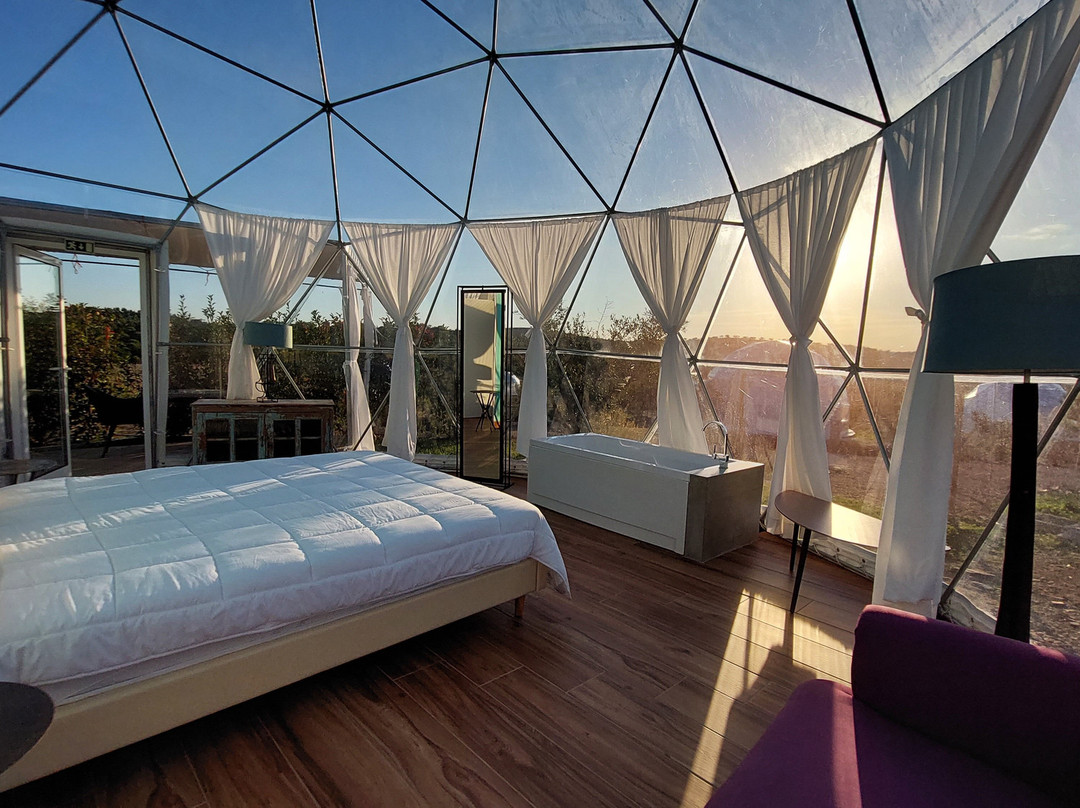 Glamping Skies