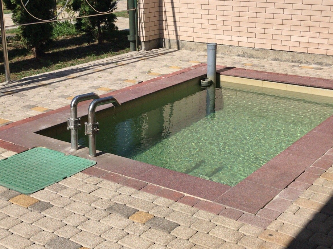 Thermalniy Istochnik Aushiger