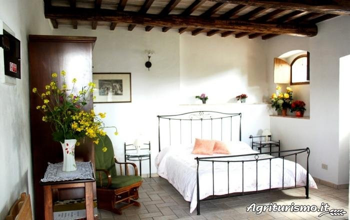 Antico Podere Il Poggino主图